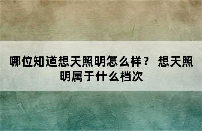 哪位知道想天照明怎么样？ 想天照明属于什么档次